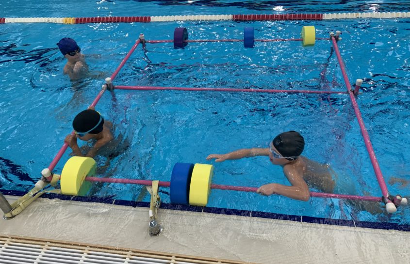 Cycle de natation pour les CP-CE1