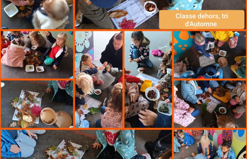 Activités d’automne pour les MS-GS