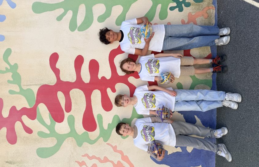 Championnat de Perplexus