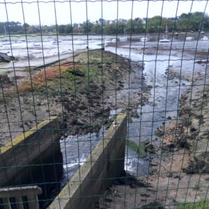 SAMSUNG DIGITAL CAMERA