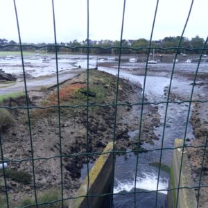 SAMSUNG DIGITAL CAMERA